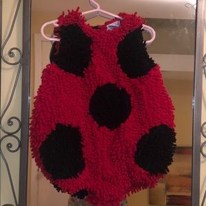 Ladybug costume